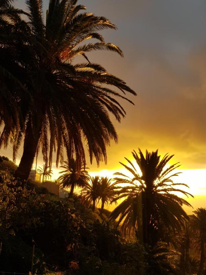 Hyggeland II - Oase Der Ruhe Im Palmendorf Tazo Daire Vallehermoso Dış mekan fotoğraf